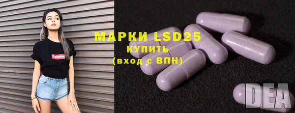 ПСИЛОЦИБИНОВЫЕ ГРИБЫ Абаза