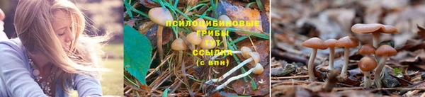 МДПВ Абинск