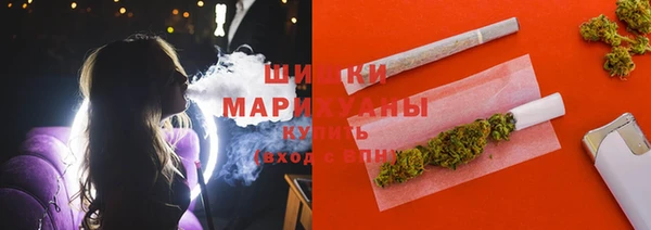 прущие грибы Абдулино
