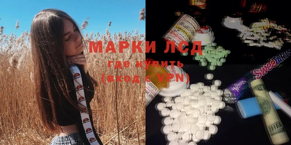 ПСИЛОЦИБИНОВЫЕ ГРИБЫ Абаза
