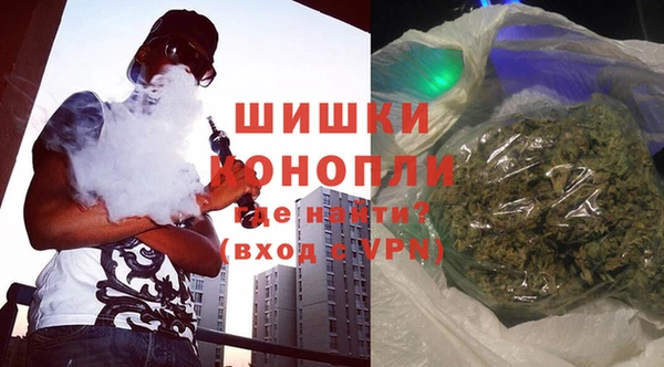 ПСИЛОЦИБИНОВЫЕ ГРИБЫ Абаза
