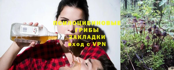 прущие грибы Абдулино