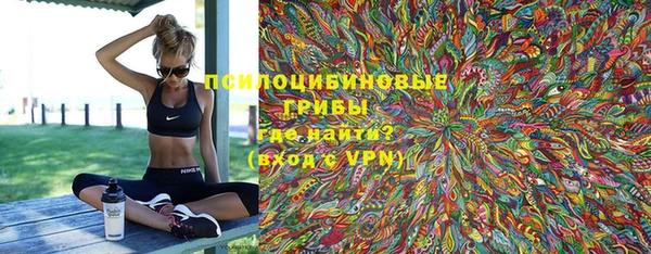 ПСИЛОЦИБИНОВЫЕ ГРИБЫ Абаза