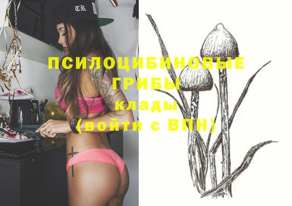 прущие грибы Абдулино