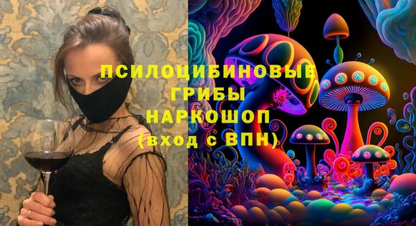 прущие грибы Абдулино