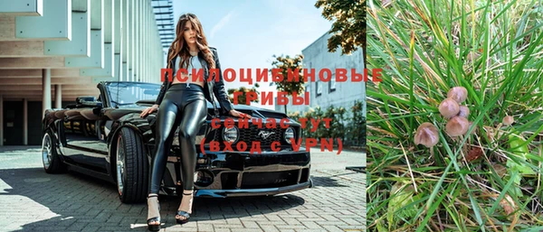 прущие грибы Абдулино