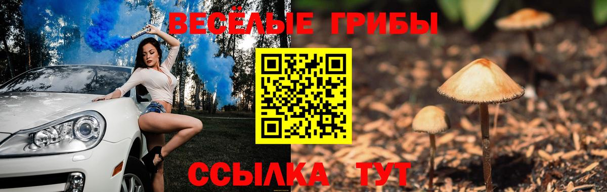 Псилоцибиновые грибы Psilocybine cubensis  Псилоцибиновые грибы Psilocybe  Саратов  Вход с VPN 